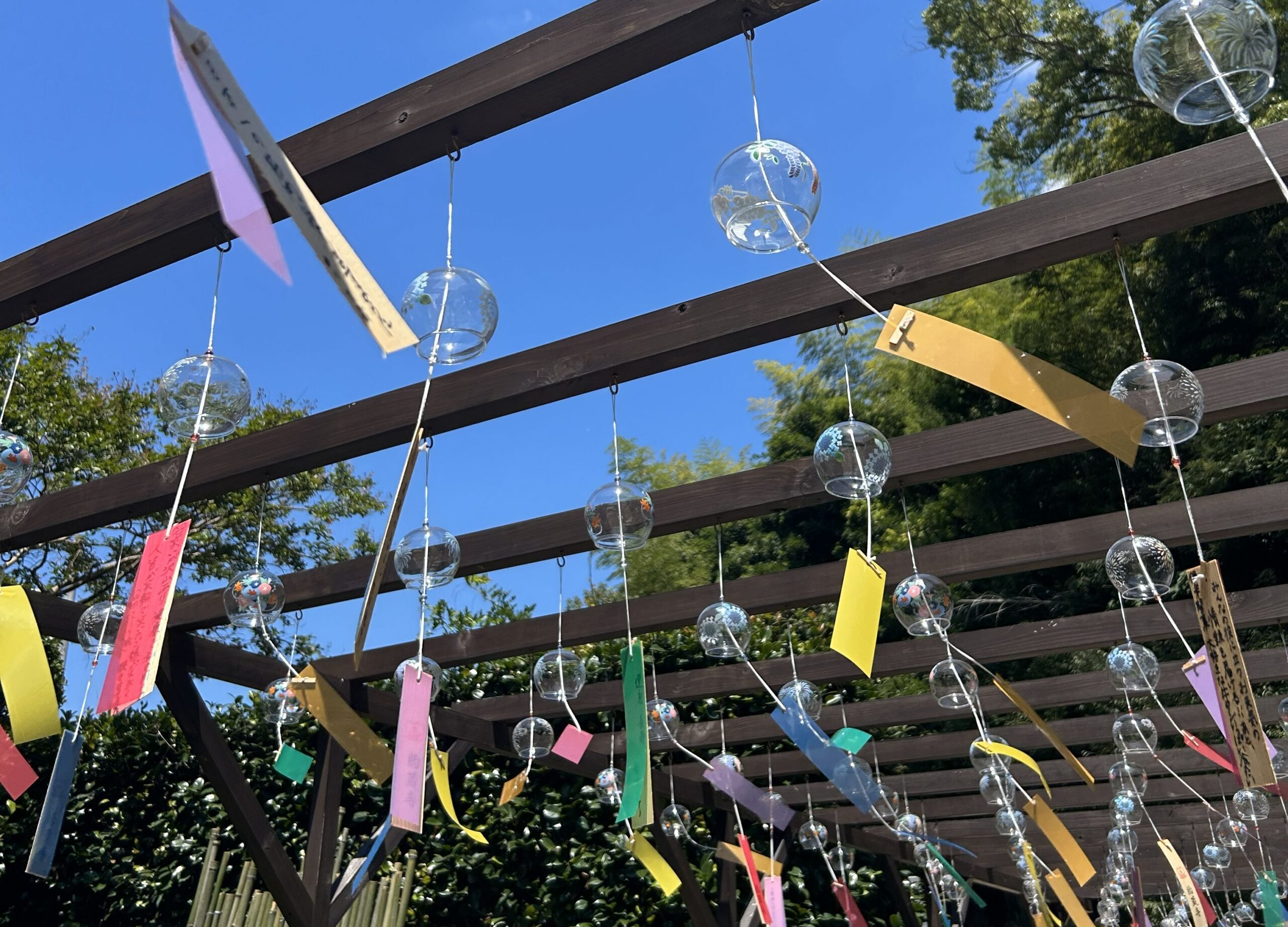 風鈴祭り｜高野山真言宗　胎蔵寺（徳島県）