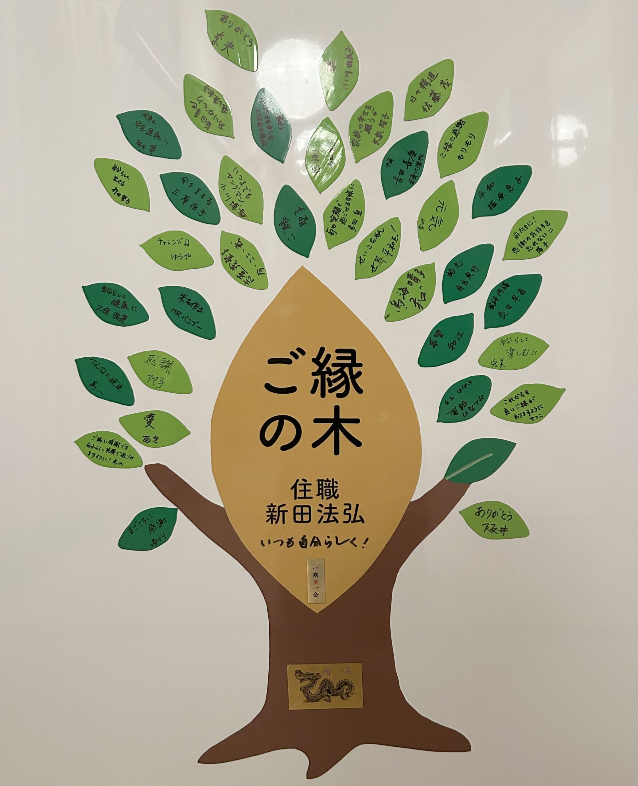 ご縁の木｜高野山真言宗　胎蔵寺「ご参拝のみなさまに一言想いを書き添えていただき、そっと貼っていただきます。